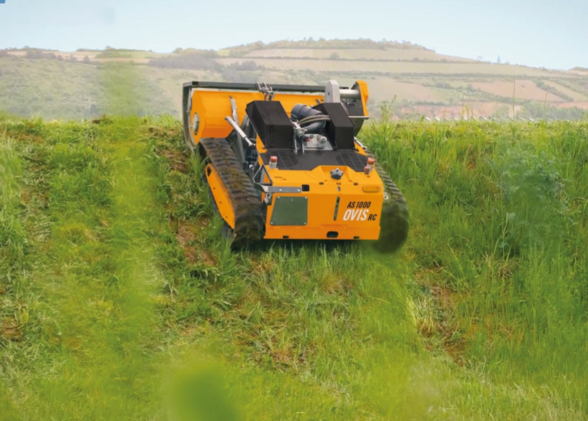 As 1000 Ovis Rc Preis